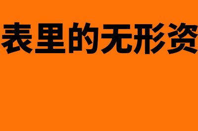 报表中的无形资产计算公式是什么(报表里的无形资产)