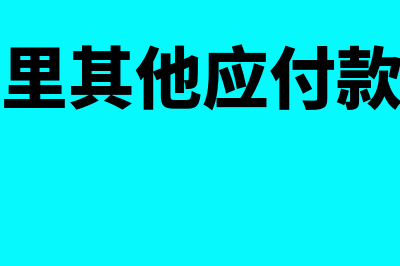 财务报表里其他流动资产包含什么(财务报表里其他应付款可以放在贷方吗)