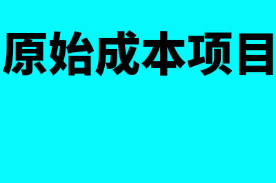 原始成本会计模式是什么(原始成本项目)