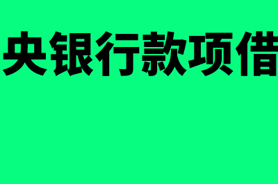 存放中央银行款项账务处理怎么做(存放中央银行款项借贷方向)