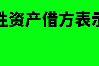 限定性资产的账务处理是怎么做？(限定性资产借方表示什么)