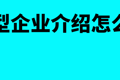 介绍小企业设立的建账流程有哪些(小型企业介绍怎么写)