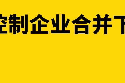 法人现金购买承兑付款会计分录怎么做？(法人现金给公司进货)