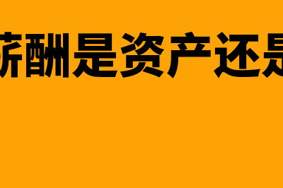 应付工资薪酬包括养老保险核算吗(应付薪酬是资产还是负债)