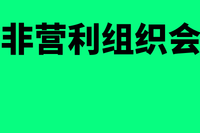 政府及非营利组织会计的含义是什么(政府及非营利组织会计案例)