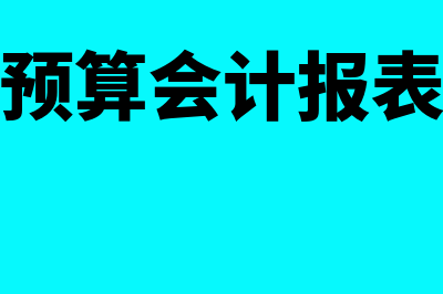 财政总预算会计年终清理怎么理解(财政总预算会计报表公式是)