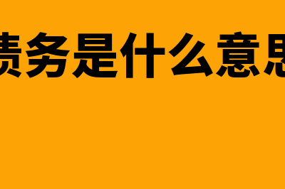 什么是债务方(债务是什么意思)