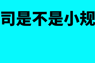 财务审计报告是财务会计报告吗(财务审计报告是什么意思)