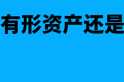 非金融资产的估值前提包括哪些(非金融资产怎么算)