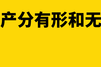 不动产与有形资产的区别有哪些(不动产分有形和无形吗)