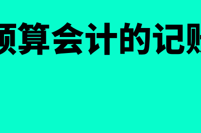 政府预算会计的核算基础是什么(政府预算会计的记账基础)