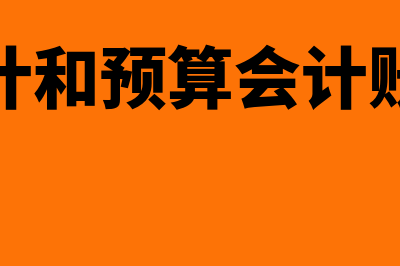 财务会计和预算会计有什么区别(财务会计和预算会计账务处理)