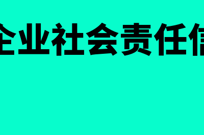 什么是企业社会责任会计信息披露是什么(什么是企业社会责任信息披露)