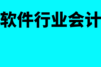 软件企业会计科目如何设置(软件行业会计)