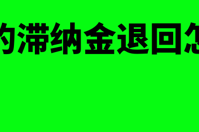 多交的滞纳金退回来的会计分录怎么写？(多交的滞纳金退回怎么办)