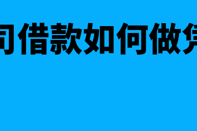 公司借款如何做账？(公司借款如何做凭证)