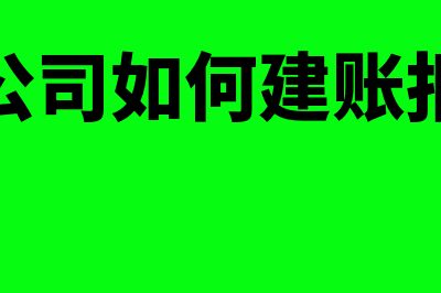 分公司单独建账独立核算可以吗(分公司如何建账报税)