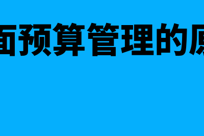 全面预算管理的背景是怎么回事(全面预算管理的原则)