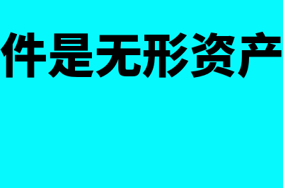 购买的软件是无形资产如何摊销(购买的软件是无形资产还是货物资产)