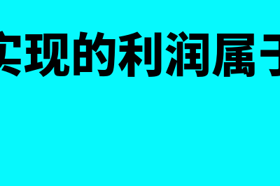 当年实现的利润总额的顺序分配？(当年实现的利润属于什么)