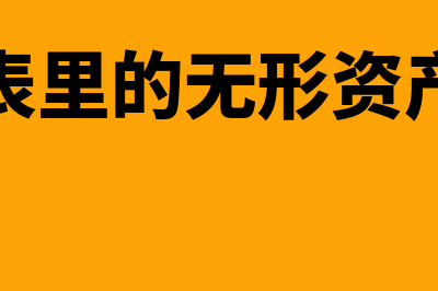 财务报表里的无形资产分为什么(财务报表里的无形资产是什么)