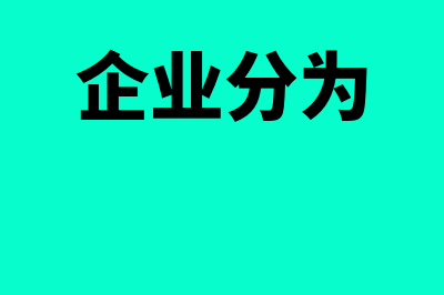 什么是企业的分支机构？(企业分为)