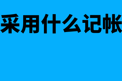 一般采用什么记账方法进行记账(一般采用什么记帐方式)