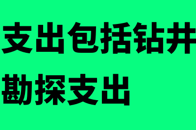 油气勘探支出包括哪些？(油气勘探支出包括钻井勘探支出和非钻井勘探支出)