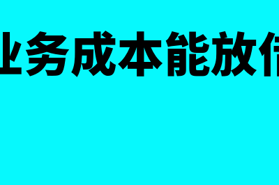 主营业务成本能设置二级科目吗(主营业务成本能放借方吗)