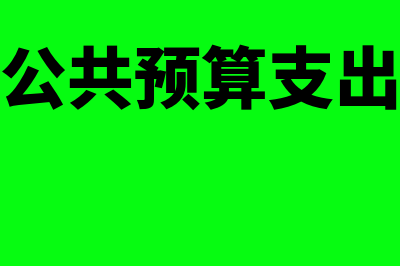 一般公共预算支出包括哪些内容(一般公共预算支出包括)