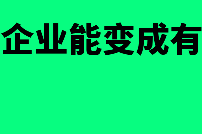 个人独资企业能开13%专票吗(个人独资企业能变成有限公司吗)