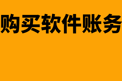 企业购买软件著作权的支出如何写会计分录？(企业购买软件账务处理)