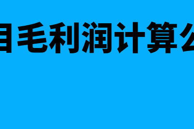 一般项目毛利管理人员怎么操作(项目毛利润计算公式)