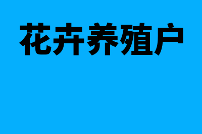 所有者权益在数量上等于什么(所有者权益在数量上表现为)