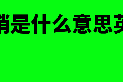 赊销是什么意思(赊销是什么意思英文)