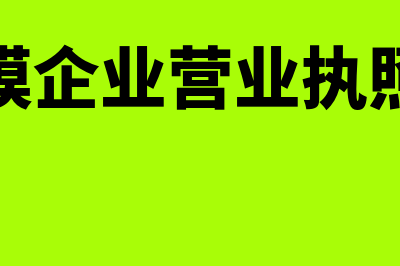 小规模企业营业收入如何确认(小规模企业营业执照年检)