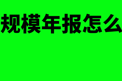 小规模年报必填的表有哪些(小规模年报怎么算)