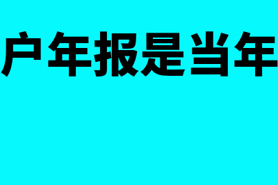 个体工商户年报资金如何填写(个体工商户年报是当年还是上一年)