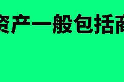 无形资产一般包括哪些内容(无形资产一般包括商誉吗)