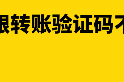 企业用网银转账和电汇的区别(企业网银转账验证码不让输入)