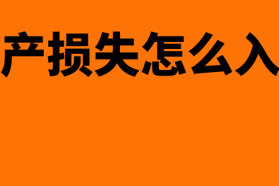 资产损失怎样进行清单的申报(资产损失怎么入账)