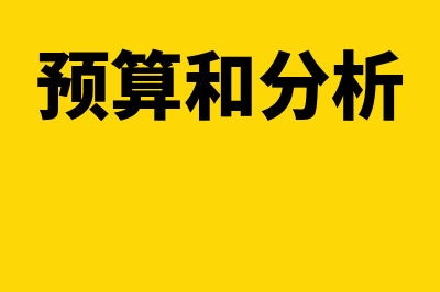 预算的分析与考核是什么意思(预算和分析)