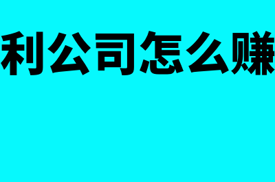 公司专利如何入无形资产(专利公司怎么赚钱)