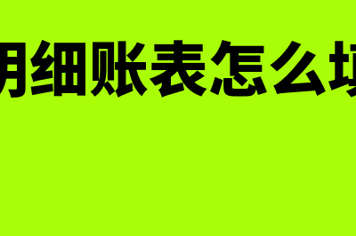 明细账的填制要求有哪些(明细账表怎么填)