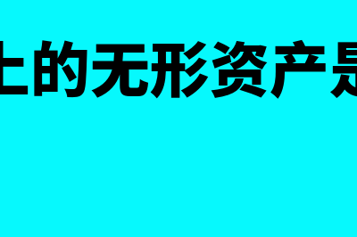 财务上的无形资产指什么(财务上的无形资产是什么)