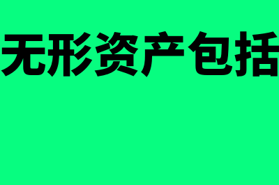 报表中无形资产净值如何计算(报表无形资产包括哪些)