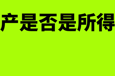 净资产是否是所有者权益(净资产是否是所得收入)