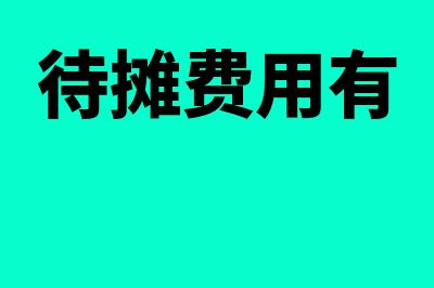 待摊费用后面附哪个原始凭证(待摊费用有)