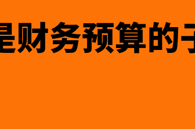 什么是财务预算编制流程(什么是财务预算的子预算)