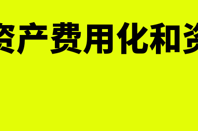 费用化和资本化的区别是什么(无形资产费用化和资本化)